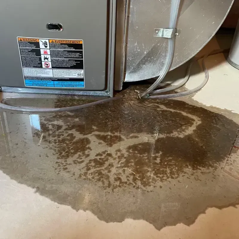 Appliance Leak Cleanup in Cos Cob, CT